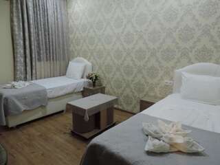 Отели эконом-класса Lotus Ахалцихе Двухместный номер с 2 отдельными кроватями и ванной комнатой-5